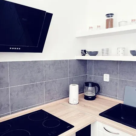 Klidny Rodinny Apartman Lokinek, Kousek Od Centra Ostravy Apartment Ostrava